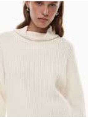 Wilfred Extra Fine Merino Wool Ribbed Turtleneck Knit Sweater Size S